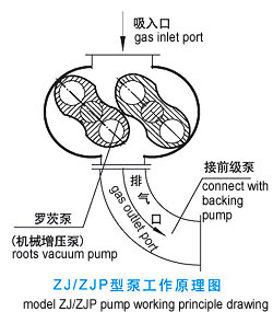 ZJP罗茨真空泵 